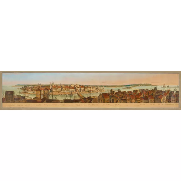 Friedrich Salathé — Panorama von Pernambuco, Brasilien.