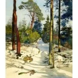 Verschneiter Waldweg im Sonnenlicht