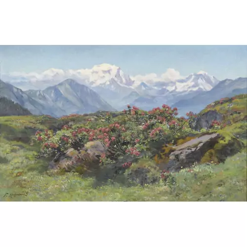 Sommerliche Alp mit Blick auf den Mont-Blanc