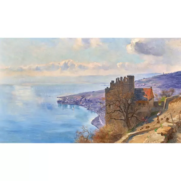 Vue sur le Lavaux et le lac Léman