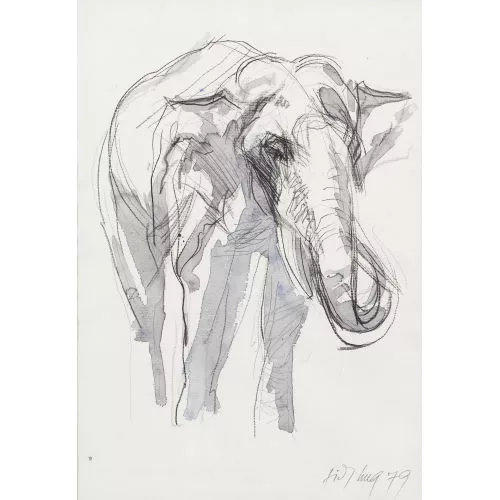 Fritz Hug — Elefant.