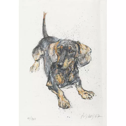 Fritz Hug — Dackel.