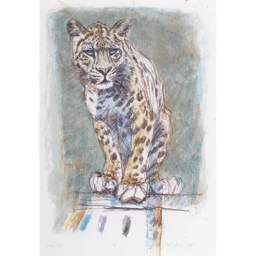 Fritz Hug — Gepard.
