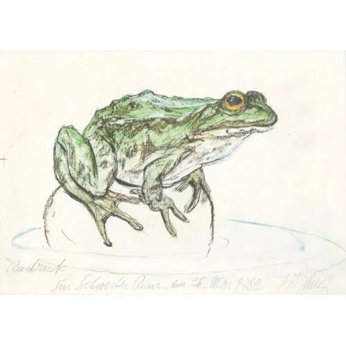 Fritz Hug — Frosch.