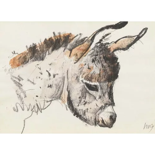 Fritz Hug — Kopf eines Eselfohlens.