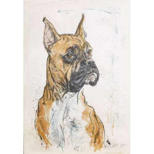 Fritz Hug — Boxer.