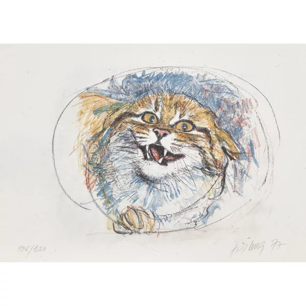 Fritz Hug — Pallaskatze.