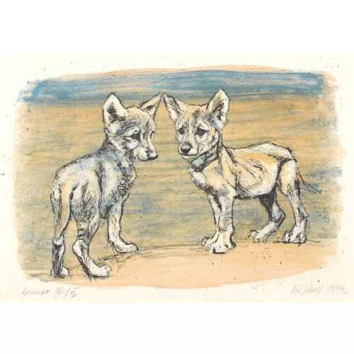 Fritz Hug — Junge Wüstenhunde.
