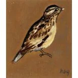 Spatz