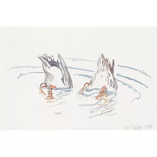 Fritz Hug — Tauchende Enten.