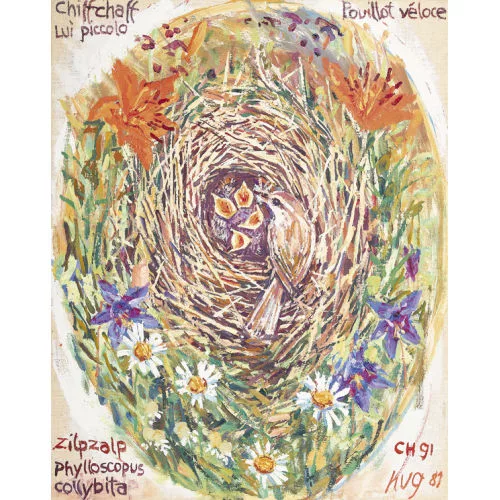 Fritz Hug — Buntes Nest mit Zilpzalp.