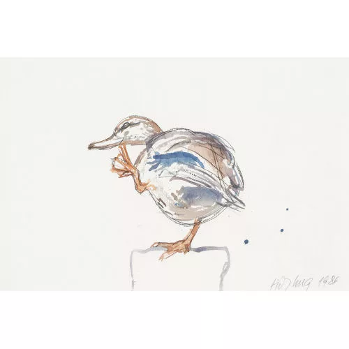Fritz Hug — Ente.
