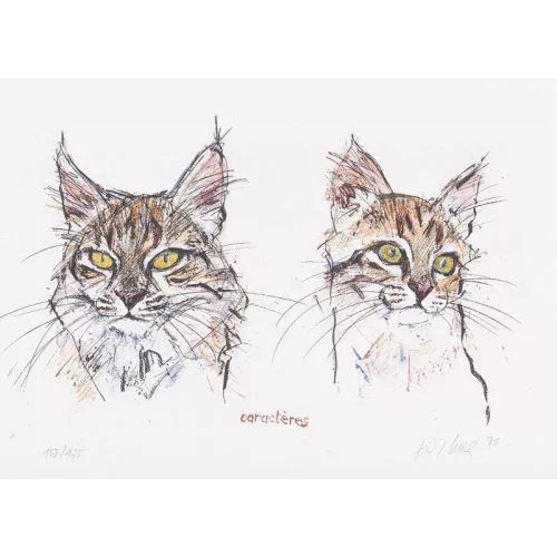 Fritz Hug — "Zwei Katzenköpfe caractères".