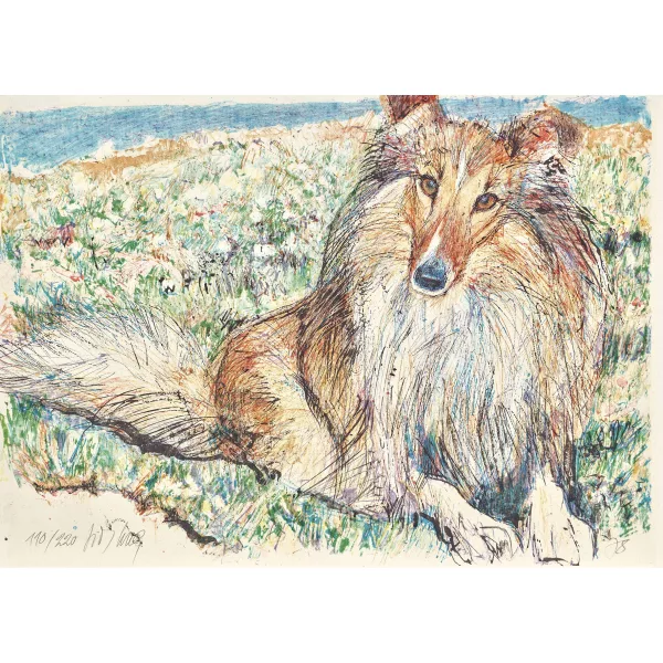 Fritz Hug — Langhaar-Collie.