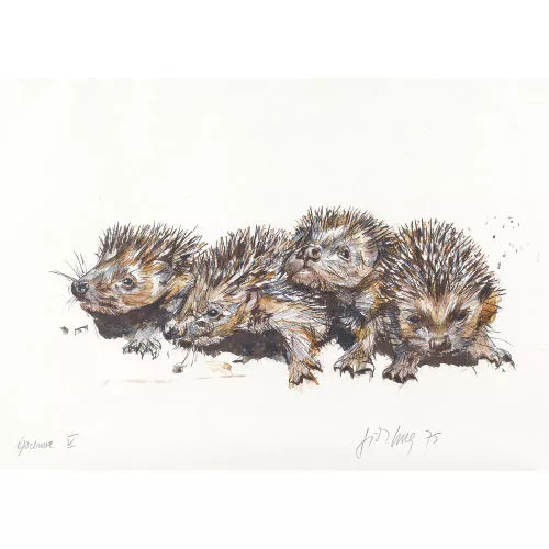 Fritz Hug — Igelfamilie.
