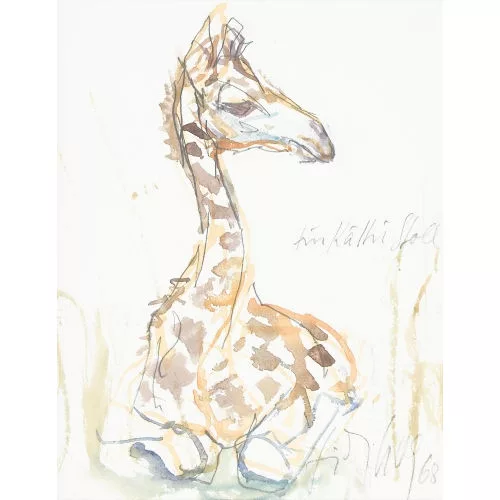 Fritz Hug — Junge Giraffe.