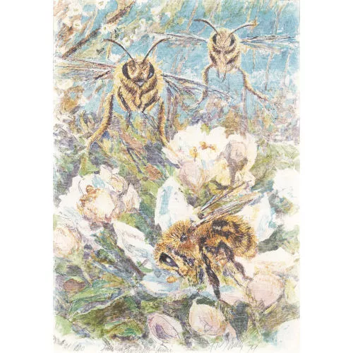 Fritz Hug — Bienen.