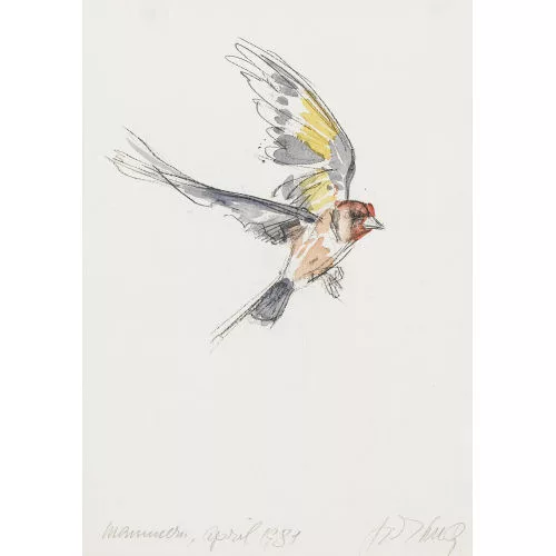 Fritz Hug — Distelfink.