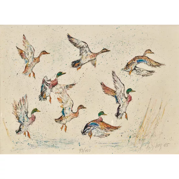 Fritz Hug — Fliegende Enten.