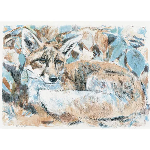 Fritz Hug — Junger liegender Fuchs.