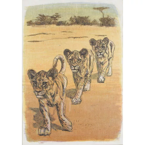 Fritz Hug — Drei junge Tiger.