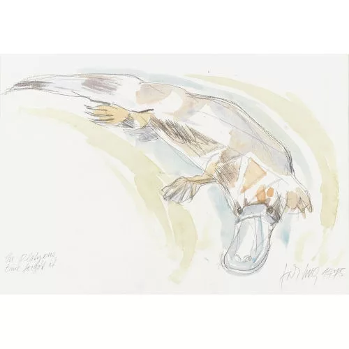 Fritz Hug — "The Platypus time forgot it".