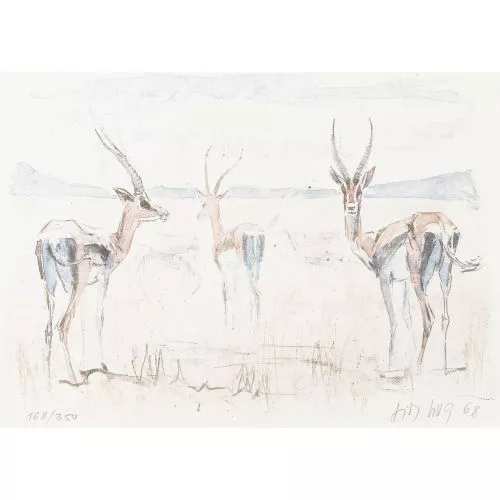 Fritz Hug — Gazellen.