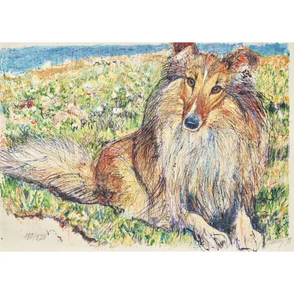 Fritz Hug — Langhaarcollie.
