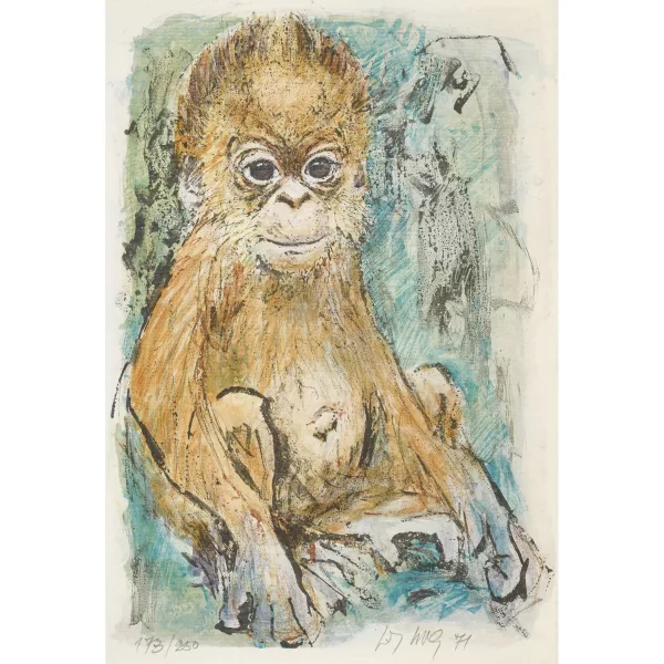 Fritz Hug — Orang-Utan-Baby.