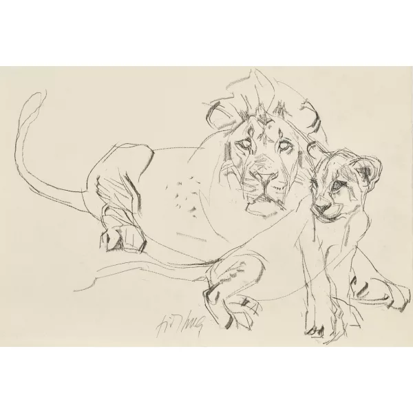 Fritz Hug — Liegender Löwe mit Jungtier.