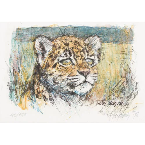 Fritz Hug — "Baby Jaguar".