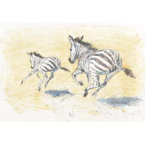 Fritz Hug — Trabende Zebras.