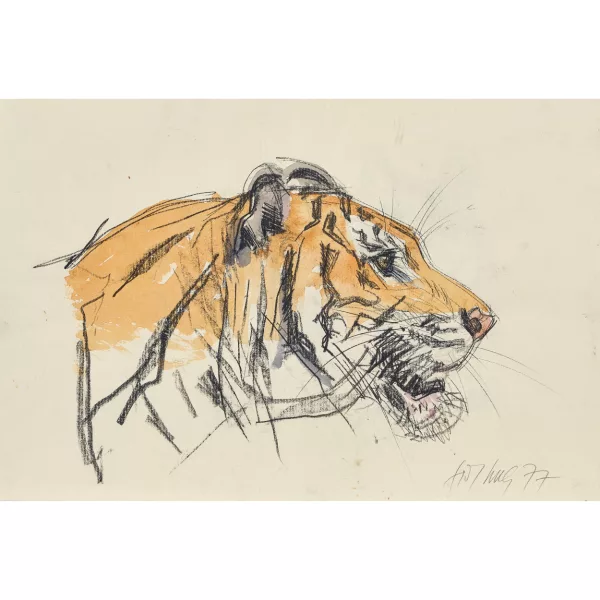 Fritz Hug — Tigerkopf.