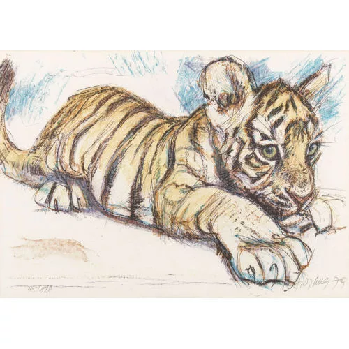 Fritz Hug — Junger Tiger.