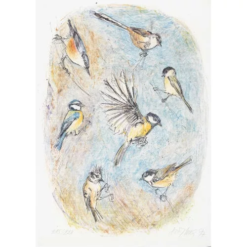 Fritz Hug — Blaumeisen.