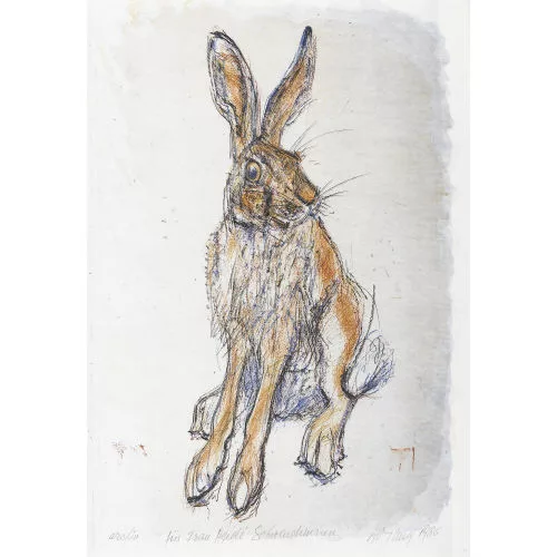 Fritz Hug — Hase.