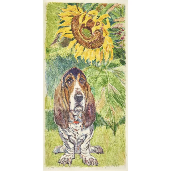 Fritz Hug — Basset.