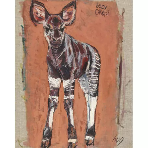 "Baby Okapi"