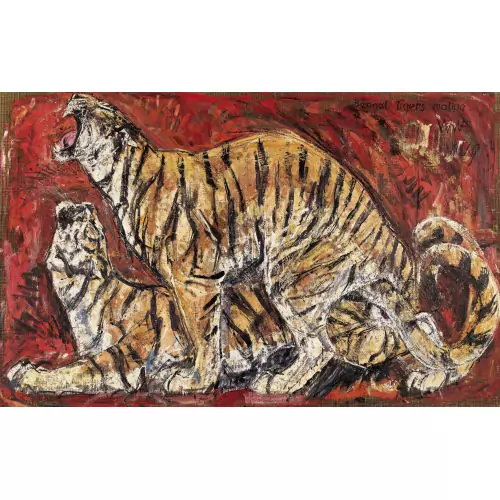"Bengal Tigers Mating"