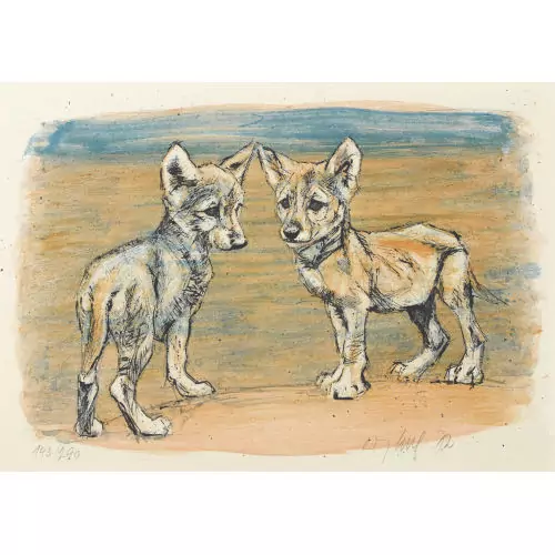Jungtiere