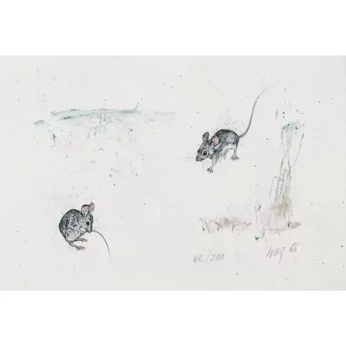 Zwei Feldmäuse