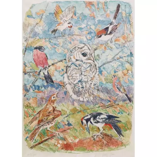 Heimische Vögel