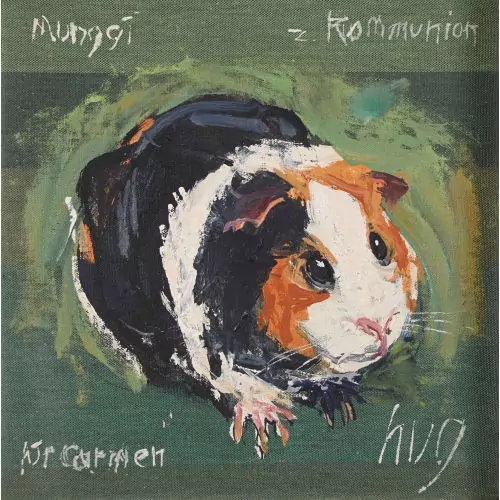 Meerschweinchen