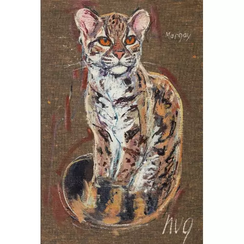 "Margay" (Langschwanzkatze)