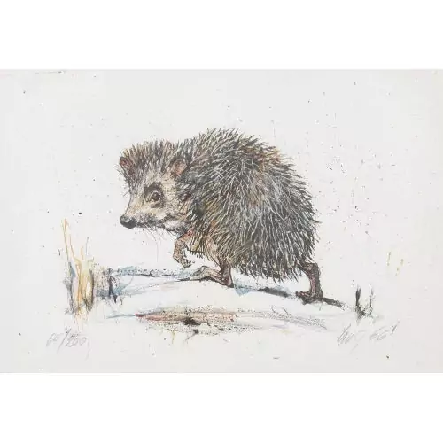 Igel