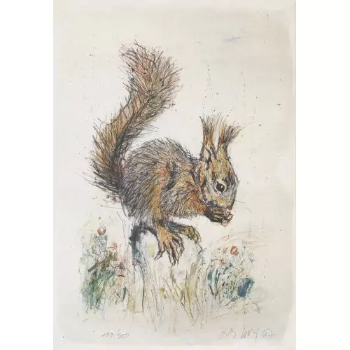 Eichhörnchen