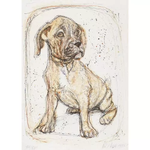 Boxerwelpe
