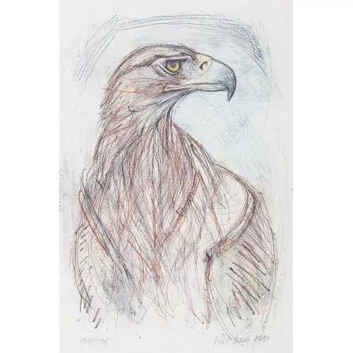 Steinadler