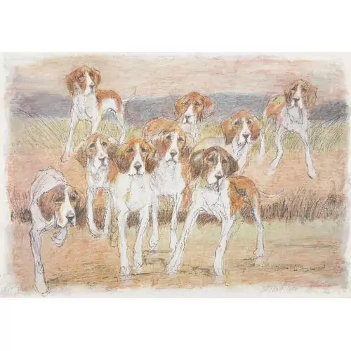 Beagles