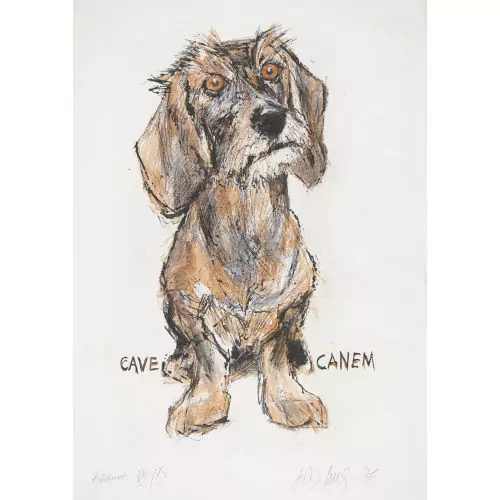 "Cave Canem"